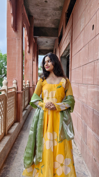 orgenza Anarkali set